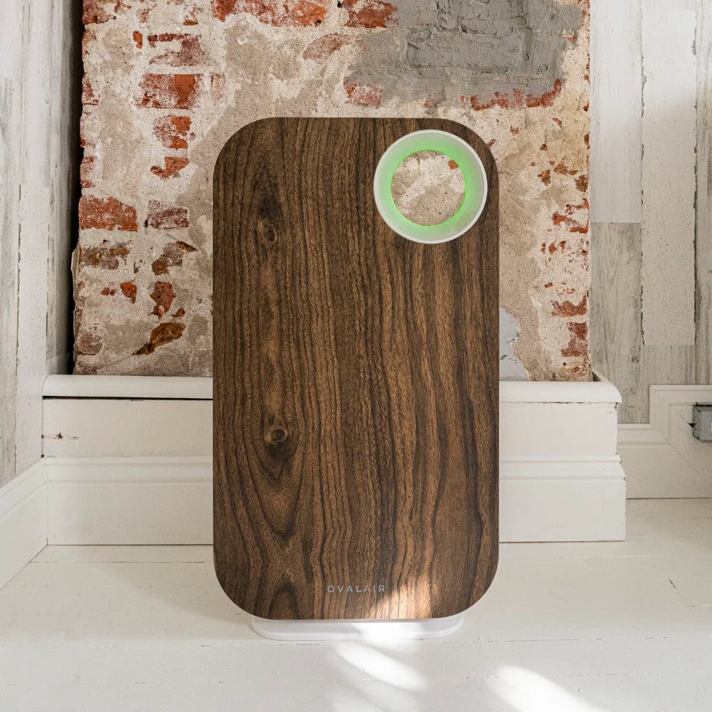 Oval Air Purifier