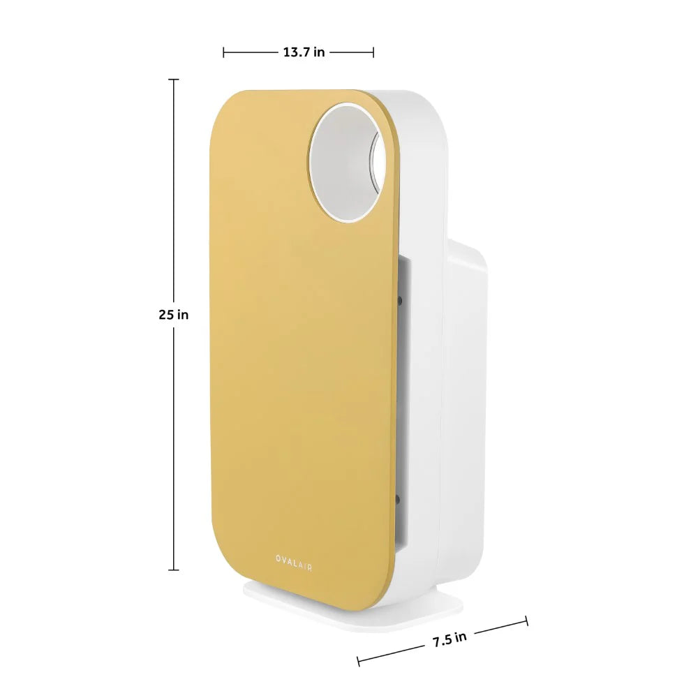 Oval Air Purifier