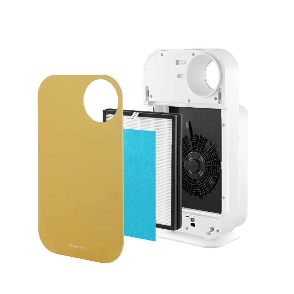 Oval Air Purifier