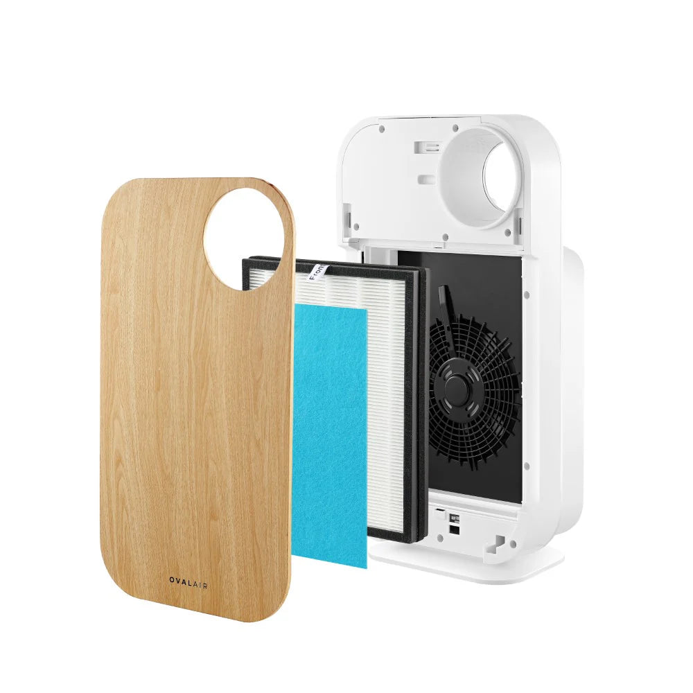Oval Air Purifier